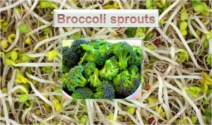 Broccoli Sprouts