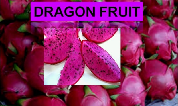 Dragon Fruit