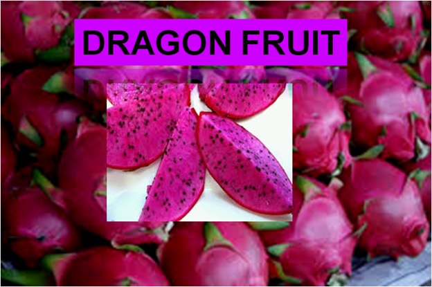Dragon Fruit