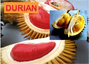 Durian