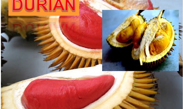 Durian