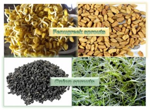 Fenugreek Sprouts & Onion Sprouts