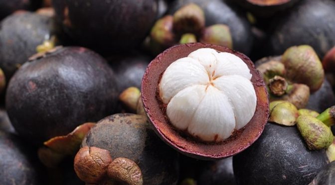 Mangosteen