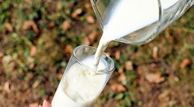 Milk