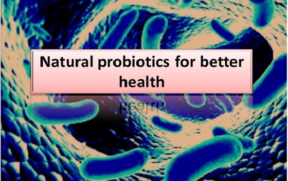 PREMIUM PROBIOTICS FOR GOOD HEALTH
