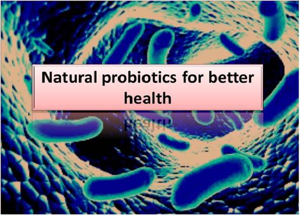 PREMIUM PROBIOTICS FOR GOOD HEALTH