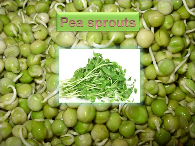 Pea Sprouts