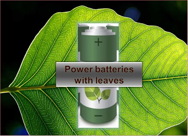 Need a new battery recipe?