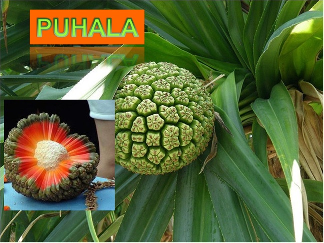 puhala