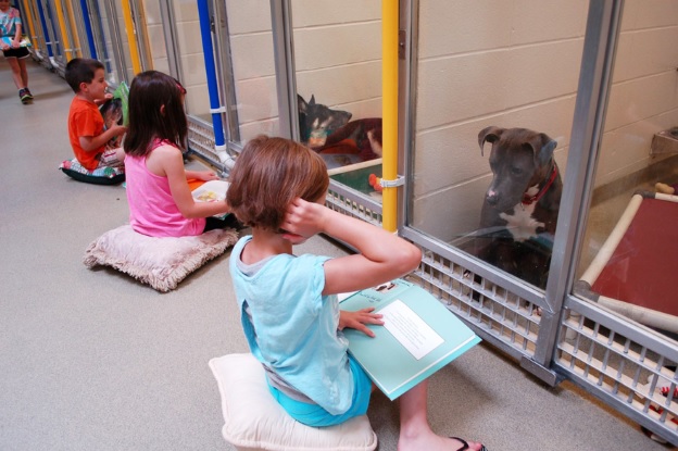 The Shelter Buddy Reading Program