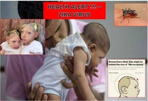 WHO DECLARES INTERNATIONAL HEALTH EMERGENCY OVER THE OUTBREAK OF ZIKA VIRUS