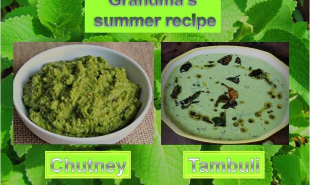Grandma's Summer Recipe - Tambuli
