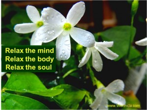 HORMONY BETWEEN BODY AND MIND