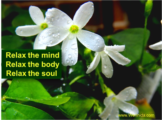 HORMONY BETWEEN BODY AND MIND