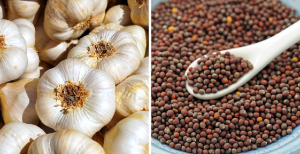 Mustard and Garlic
