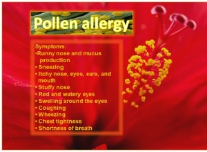 Pollen Allergy