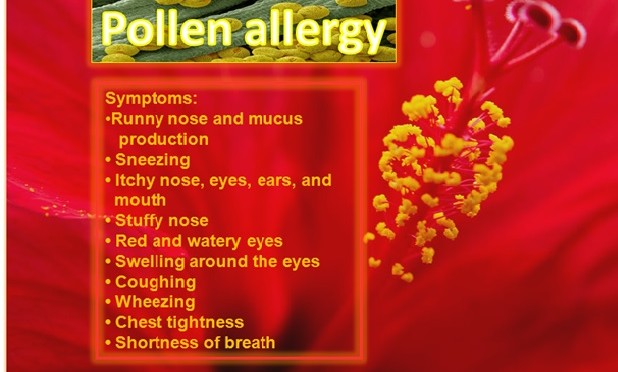 Pollen Allergy