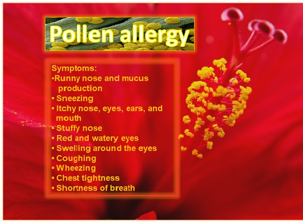Pollen Allergy