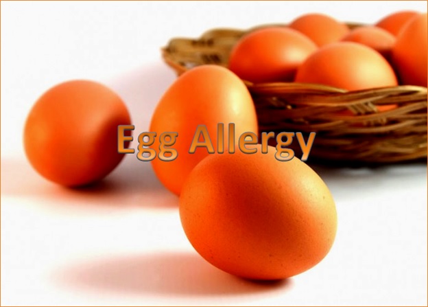 Egg Allergy