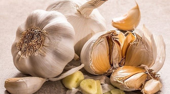 Healthy Food - Garlic