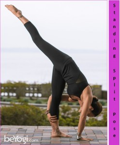 Standing Split Pose