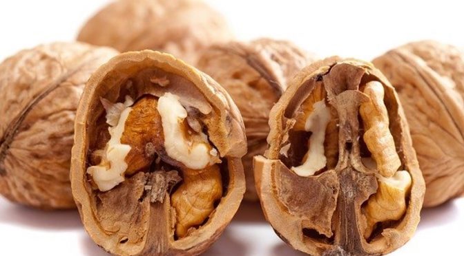 Healthy Food - Walnuts