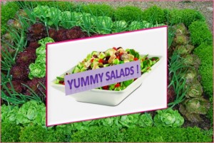 Yummy Salads - Salad World