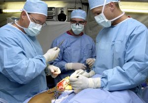 World's first Ayurvedic surgery performed in India !