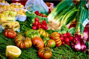 Study: Vegetarian Blood Is 8X More Effective At Killing Cancer Cells