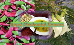 Agasi Flowers (Sesbania)