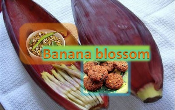 Banana Blossom