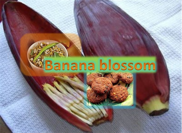 Banana Blossom