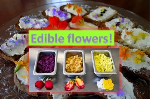 Culinary Power of Flowers