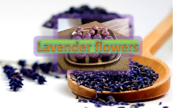 Lavender Flowers