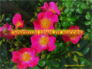 Spiritual laws