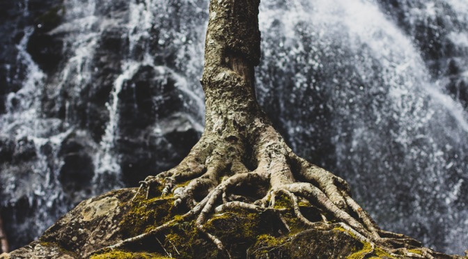 Body image and will power