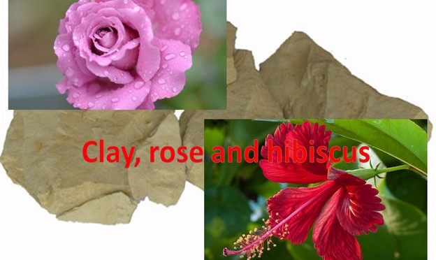 Clay, Rose and Hibiscus Mask