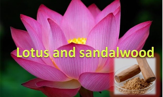 Lotus and Sandalwood Mask