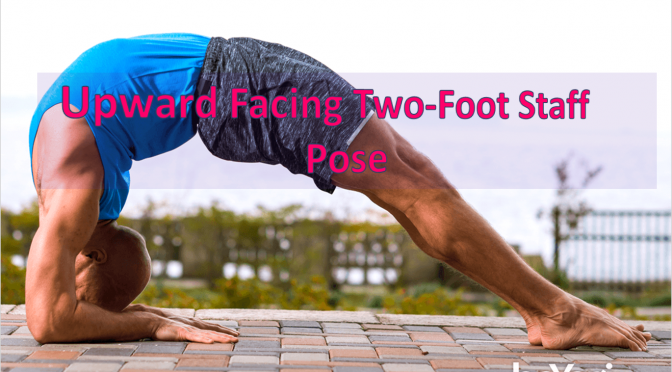 Upward facing pose