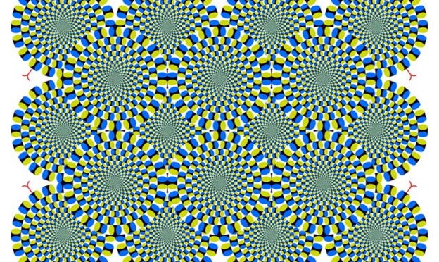 Are these circles are moving or not?