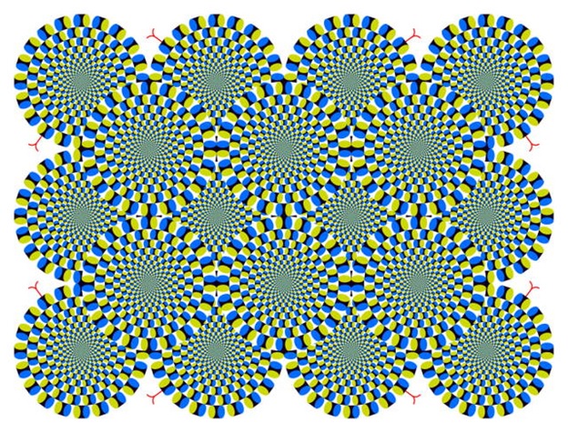 Are these circles are moving or not?
