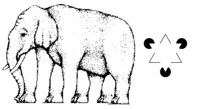Elephant Illusion