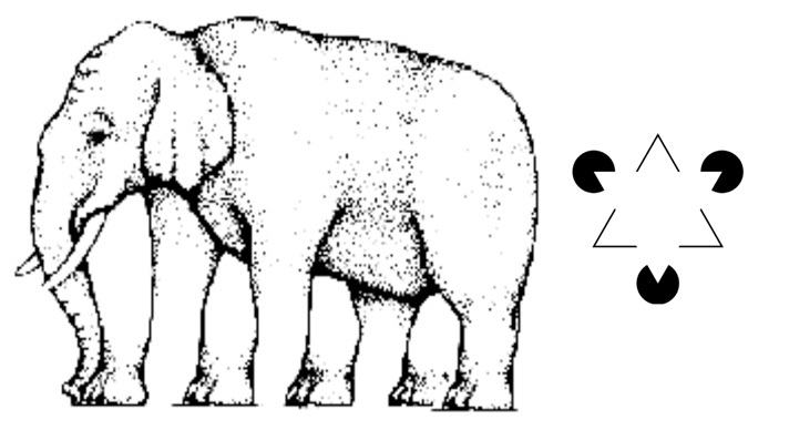 Elephant Illusion