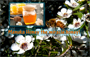 Manuka Honey