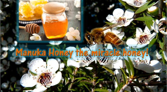 Manuka Honey