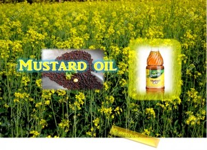 Mustard Oil