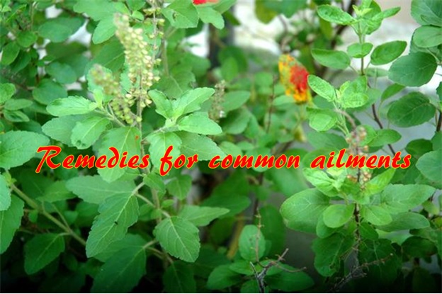 Remedies For Common Ailments