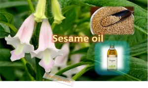 Sesame Oil