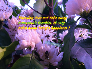 Overcome Worries