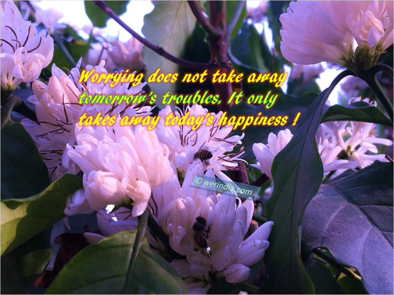 Overcome Worries